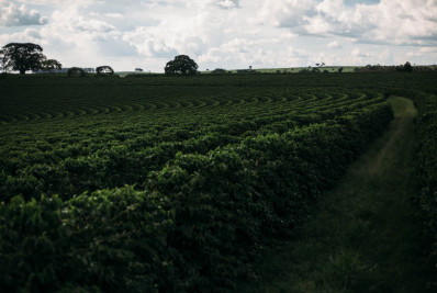 COP30: Premiação a Agricultura Regenerativa