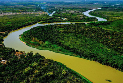 Relatório do MapBiomas revela Pantanal reconfigurado em 40 anos