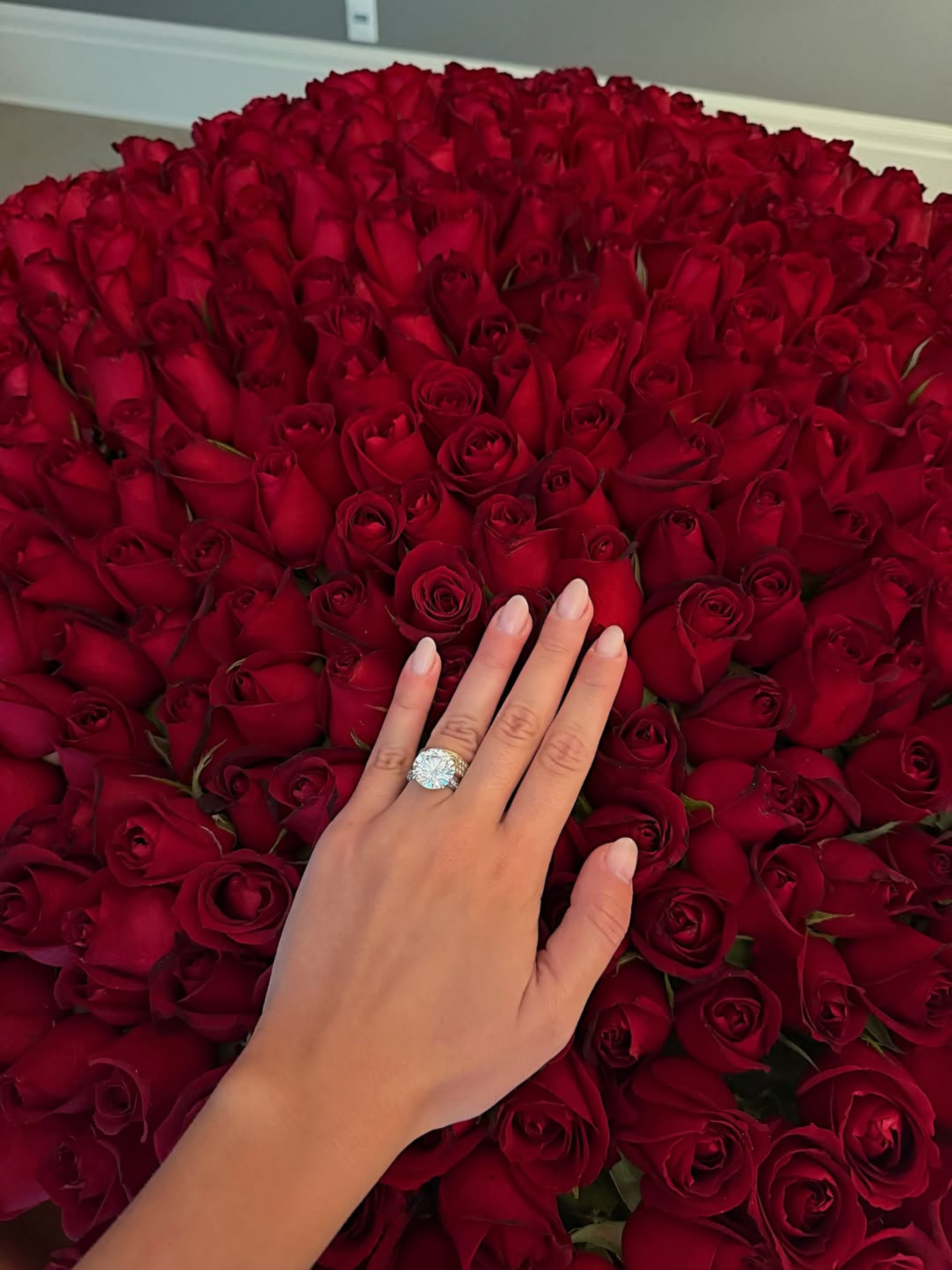 Franciny Ehlke exibe aliança, anel e buquê de rosas que ganhou do marido, Tony Maleh - Reprodução / Instagram