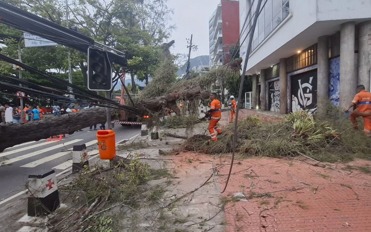 No início da noite, equipes da Comlurb realizavam o trabalho de remoção da árvore