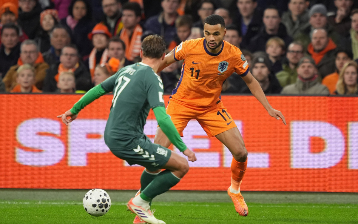 Cody Gakpo em ação