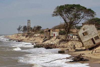 Entre o rio e o mar, a vida que persiste