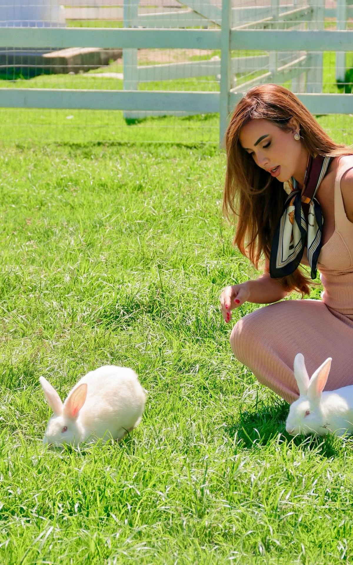 Nicole Bahls batiza novo casal de coelhos de Wanessa e Allan Souza - Reprodução/Instagram