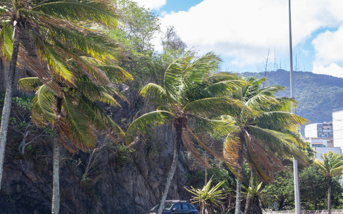 Movimentação no Mirante do Leblon, Zona Sul do Rio de Janeiro, na tarde desta quarta-feira (19).