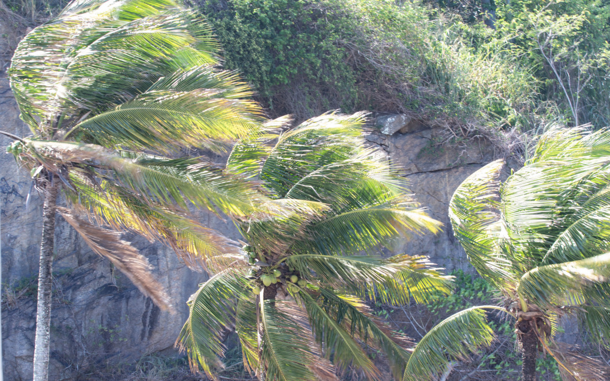 Movimentação no Mirante do Leblon, Zona Sul do Rio de Janeiro, na tarde desta quarta-feira (19).