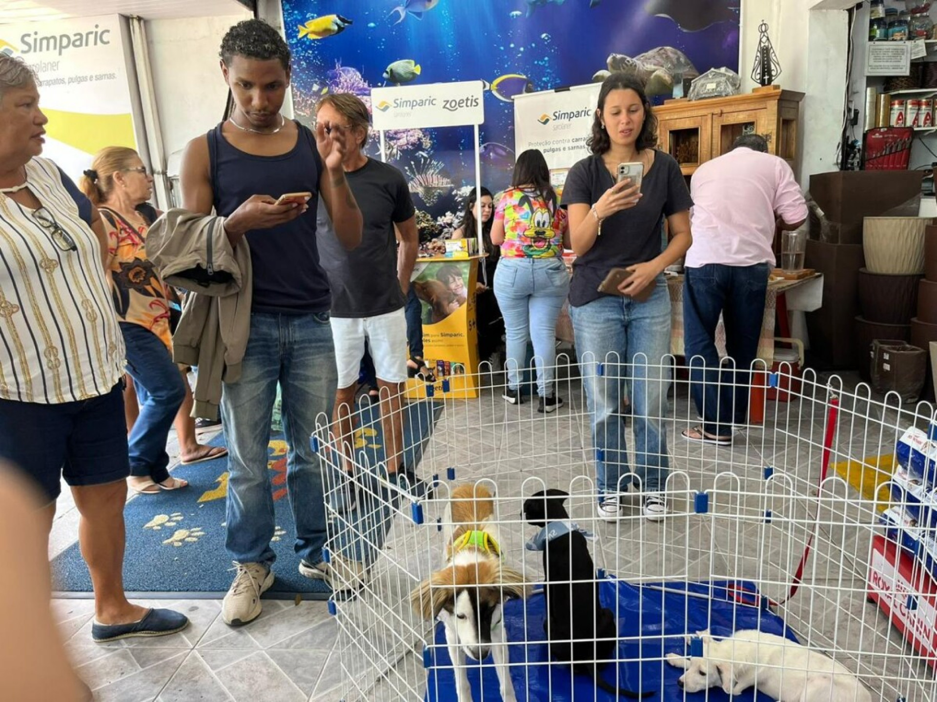 Feira de Adoção Animal  - Ascom