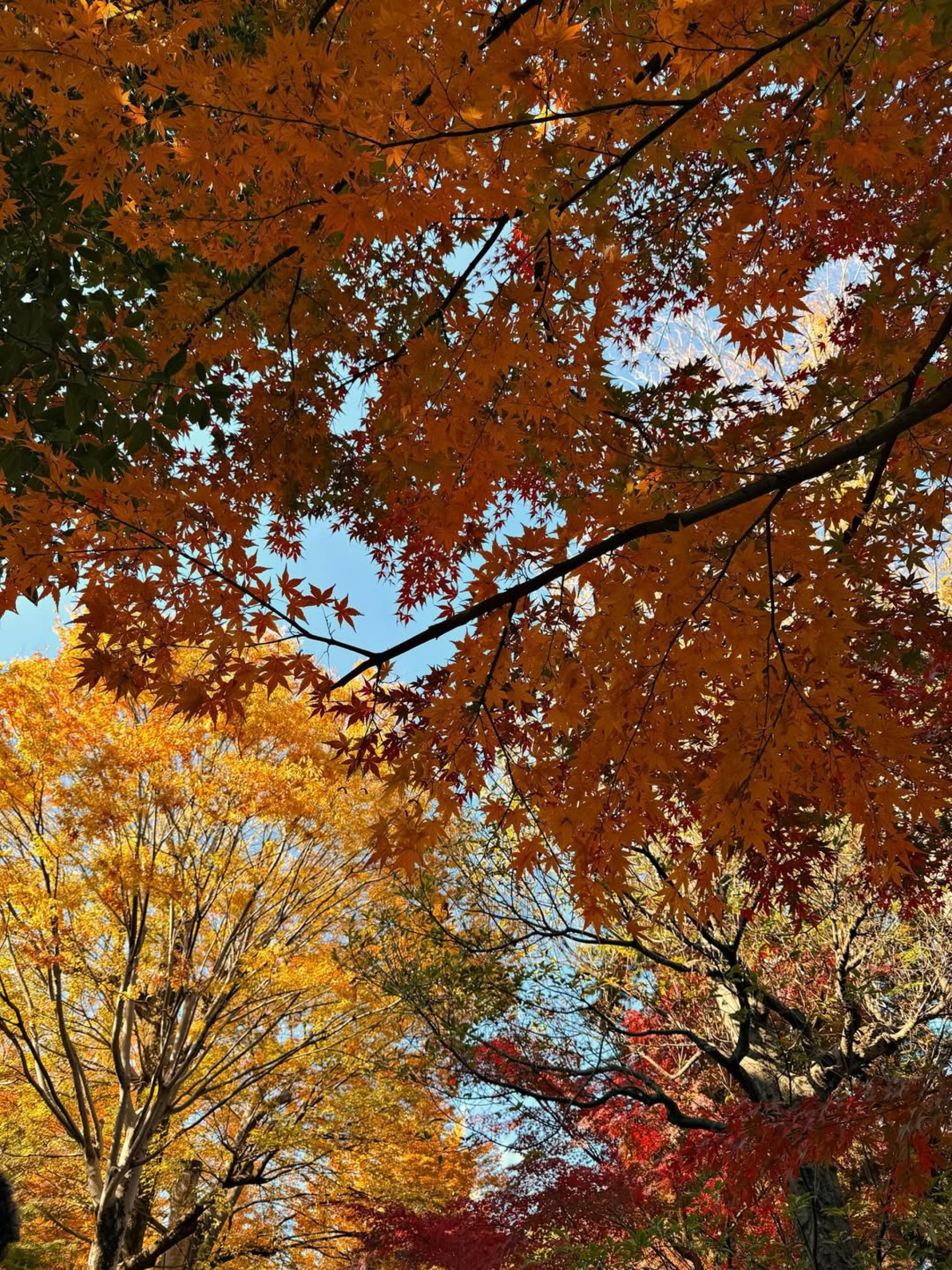 Giovanna e Bruno publicaram registros descontraídos - Reprodução / Instagram