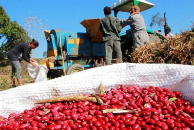 Festa do Feijão esquenta Rio das Ostras com sabor, música e tradição