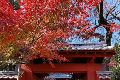 Giovanna Ewbank e Bruno Gagliasso compartilham registros da viagem ao Japão