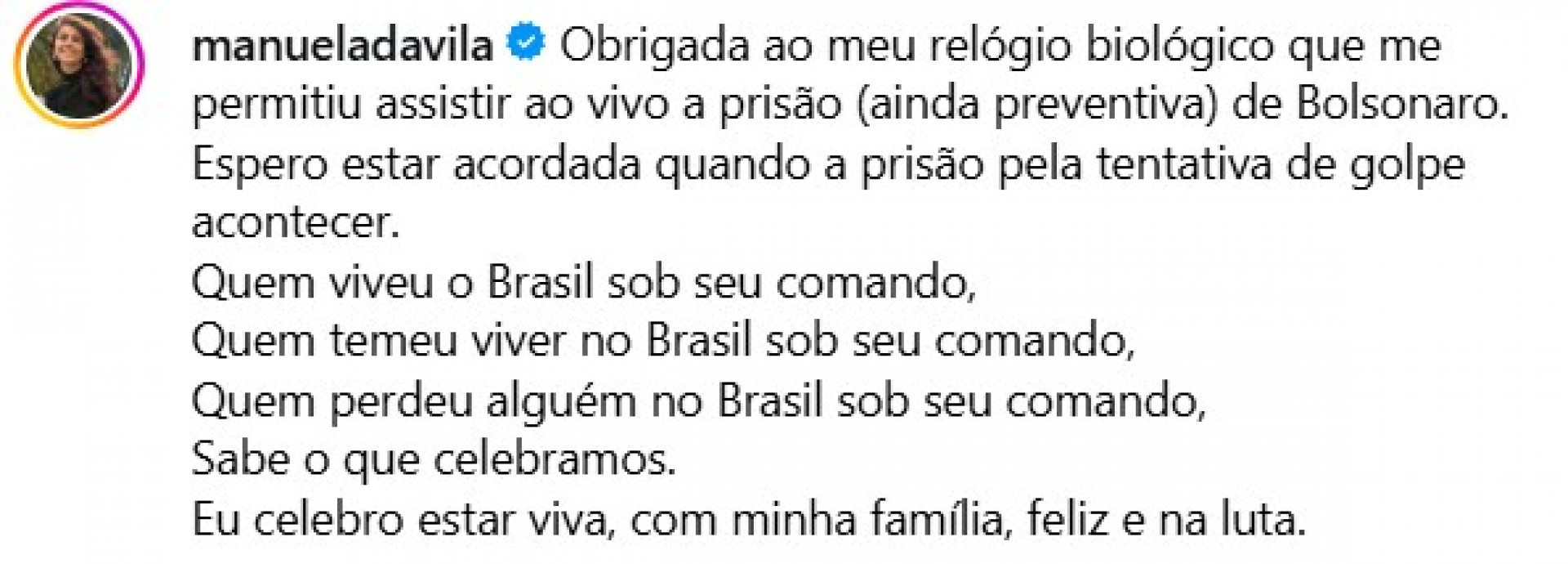 Políticos de direita celebram prisão preventiva de Bolsonaro - Reprodução