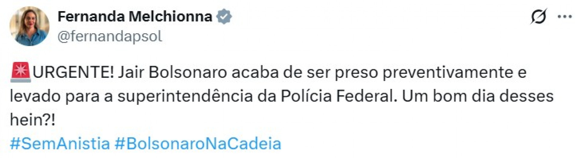 Políticos de direita celebram prisão preventiva de Bolsonaro - Reprodução