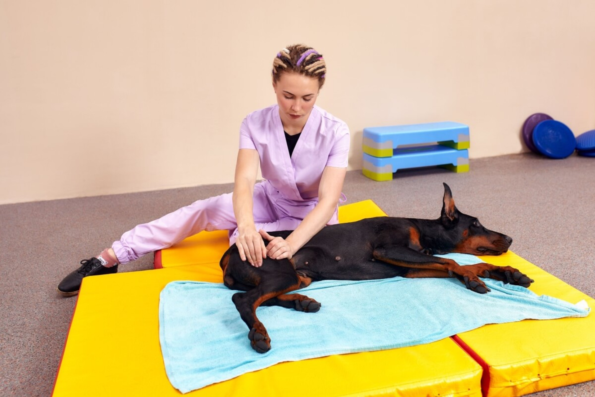Com o avan&ccedil;o da medicina animal, a fisioterapia veterin&aacute;ria tem ganhado espa&ccedil;o no tratamento de patologias que comprometem mobilidade e conforto (Imagem: Gerain0812 | Shutterstock)
