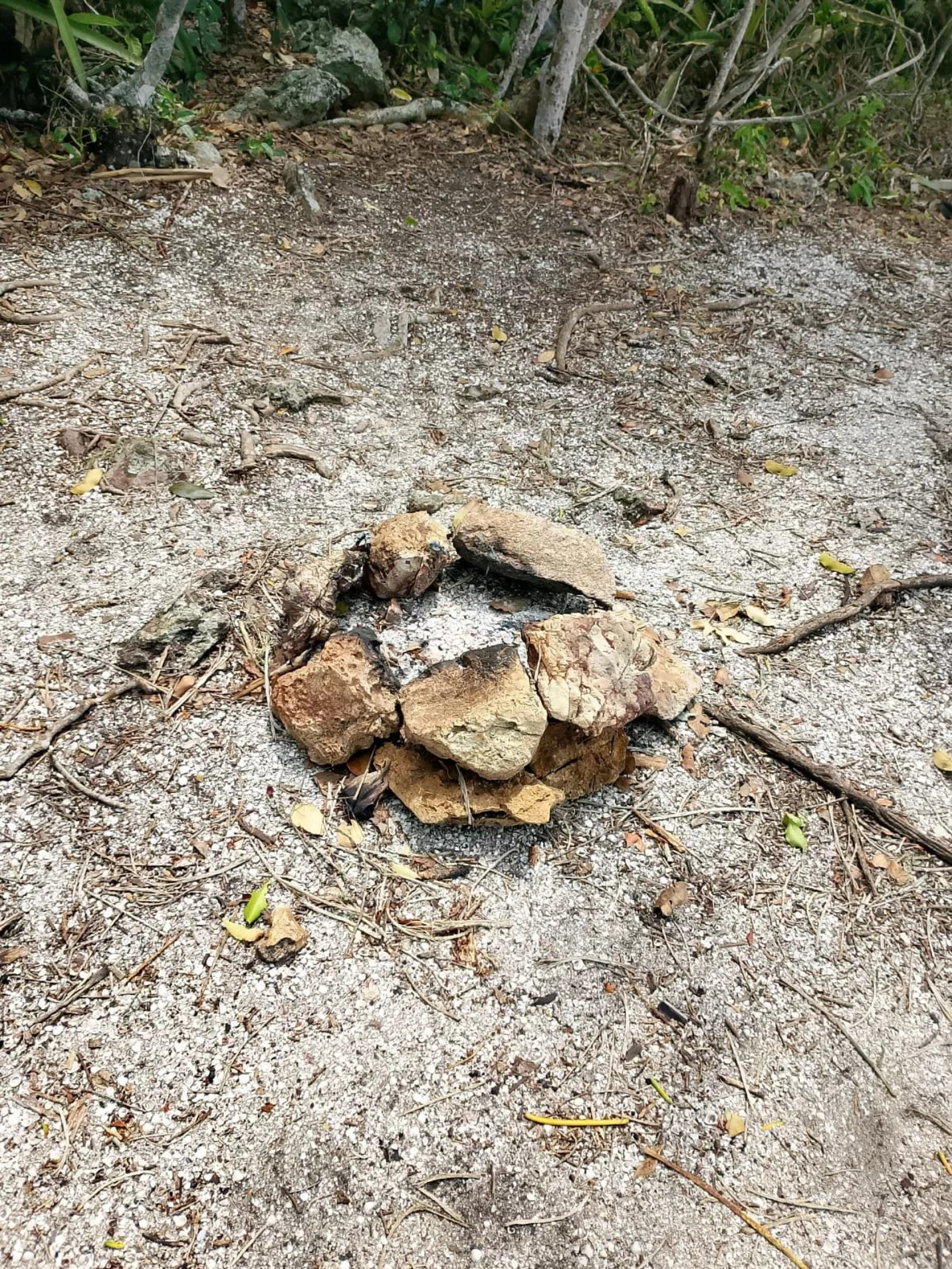 Guarda Ambiental desmonta estrutura de churrasco irregular