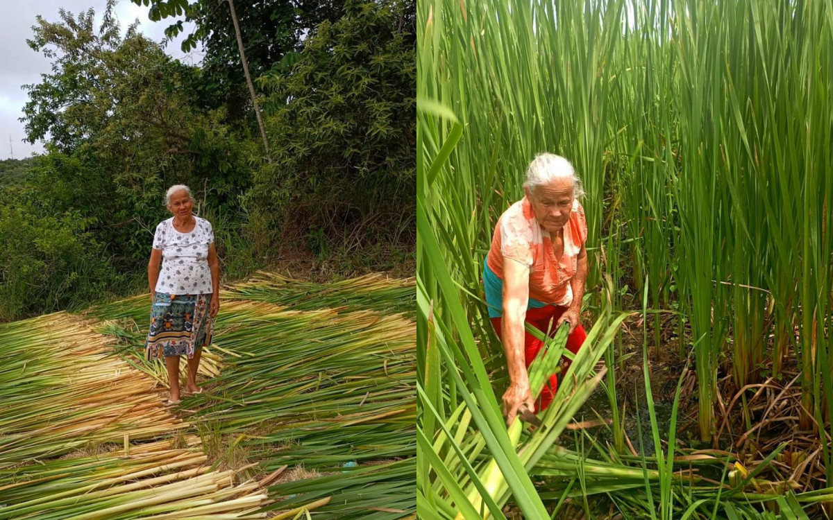 Com 74 anos, ela ainda ensina que nunca é tarde para recomeçar