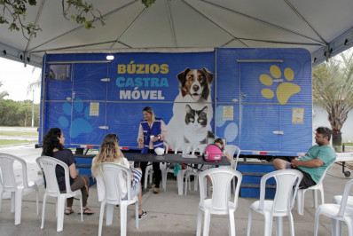 Castramóvel oferece serviços gratuitos de saúde animal na Praça Dona Dita, em Búzios