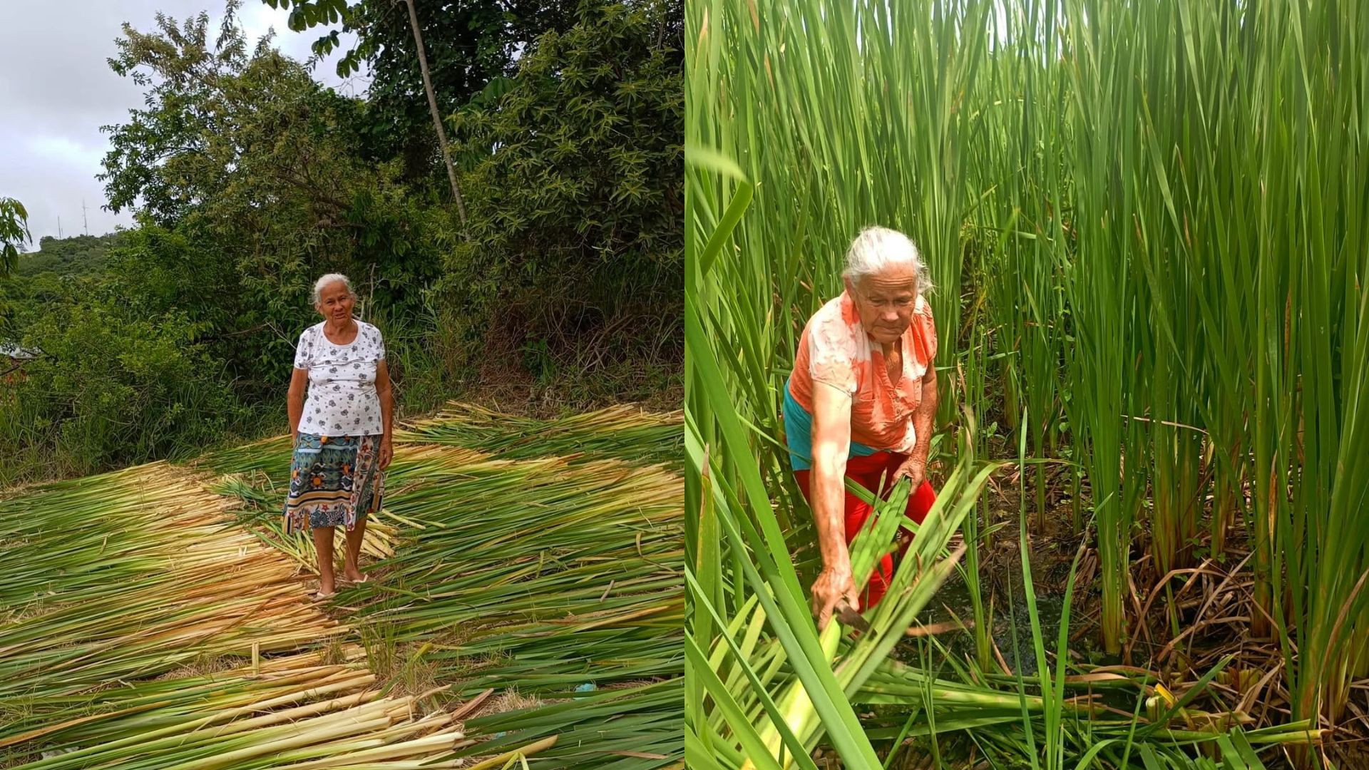 Com 74 anos, ela ainda ensina que nunca &eacute; tarde para recome&ccedil;ar - Reprodu&ccedil;&atilde;o/Instagram