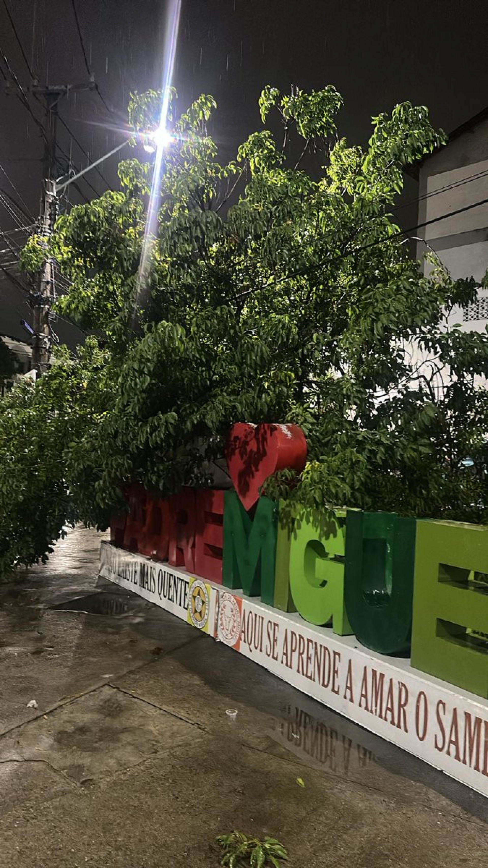 Árvore caiu em cima do pórtico que leva o nome do bairro Padre Miguel - Divulgação / COR