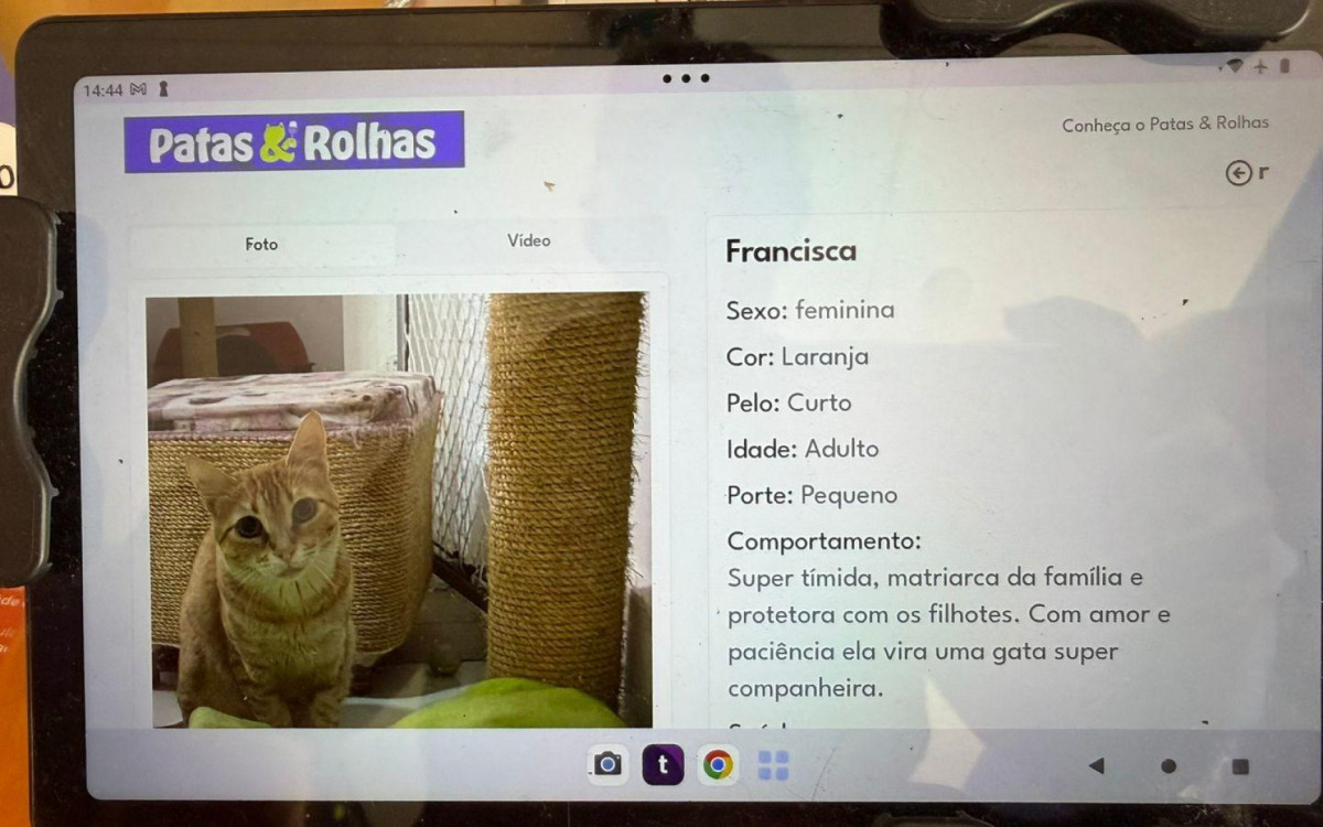 Gastronomia exclusiva para humanos e animais