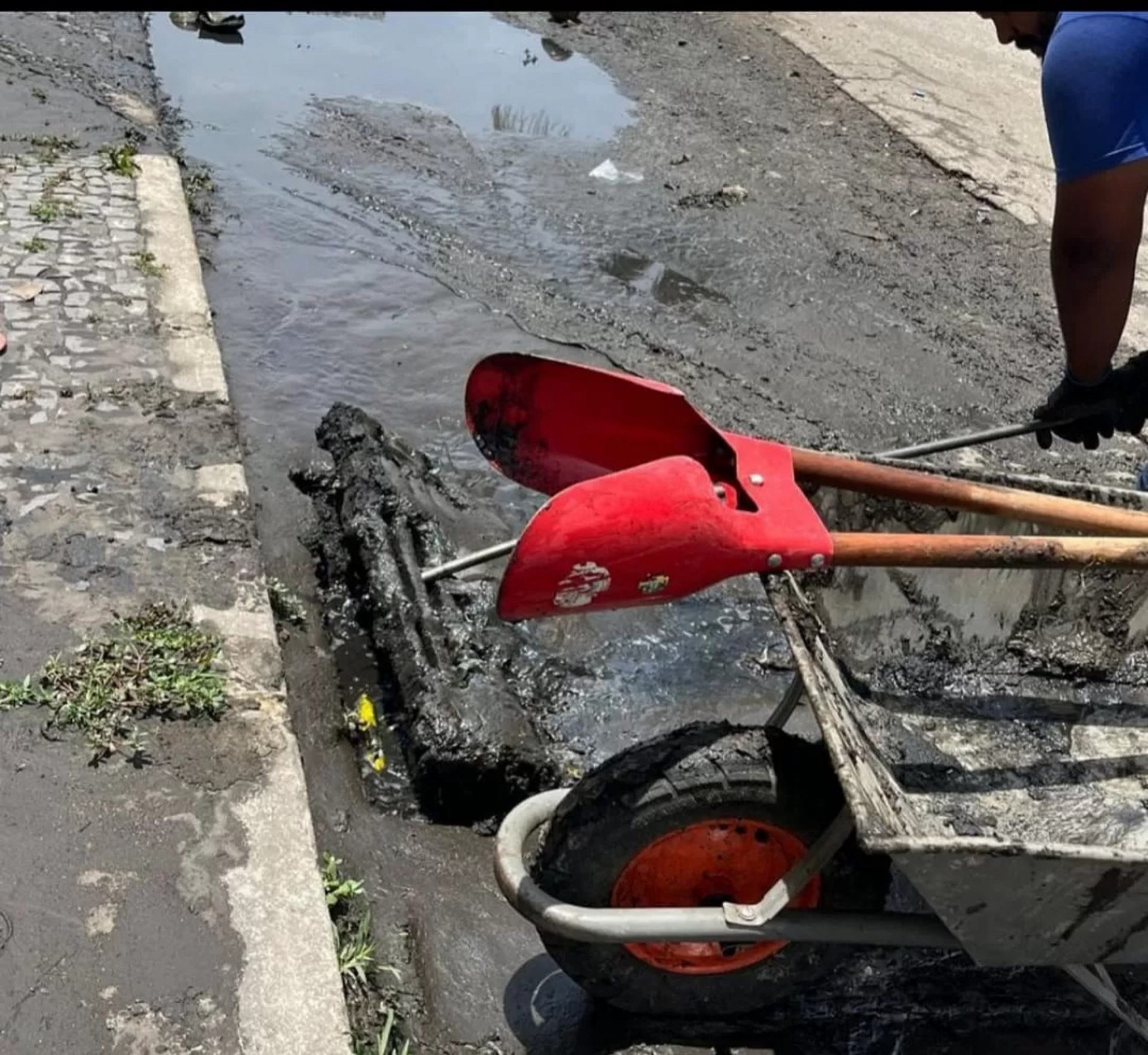 Limpeza urbana - Ascom