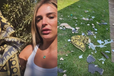 Rafa Brites mostra estrago feito por cachorros em vestido de grife