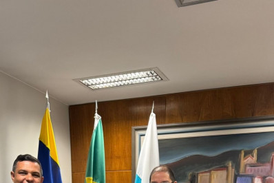 Daniela Soares (PL) busca recursos e articulações em Brasília