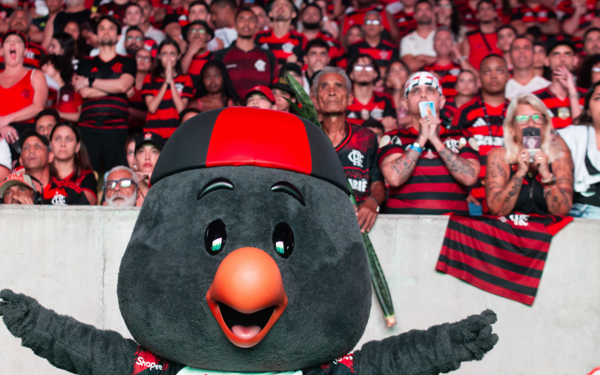 Torcedores do Flamengo comemorando a conquista do titulo da Libertadores da America  no estadio do Maracanã, neste sábado(29).