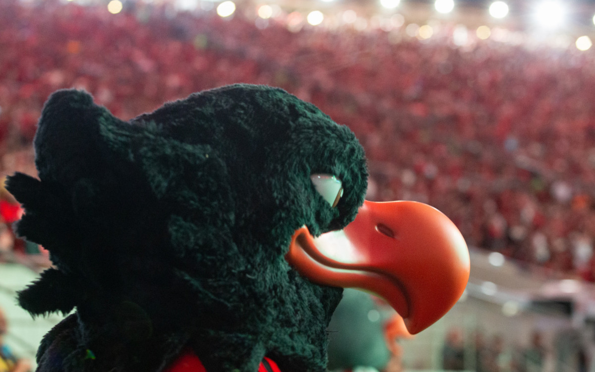 Torcedores do Flamengo comemorando a conquista do titulo da Libertadores da America  no estadio do Maracanã, neste sábado(29).