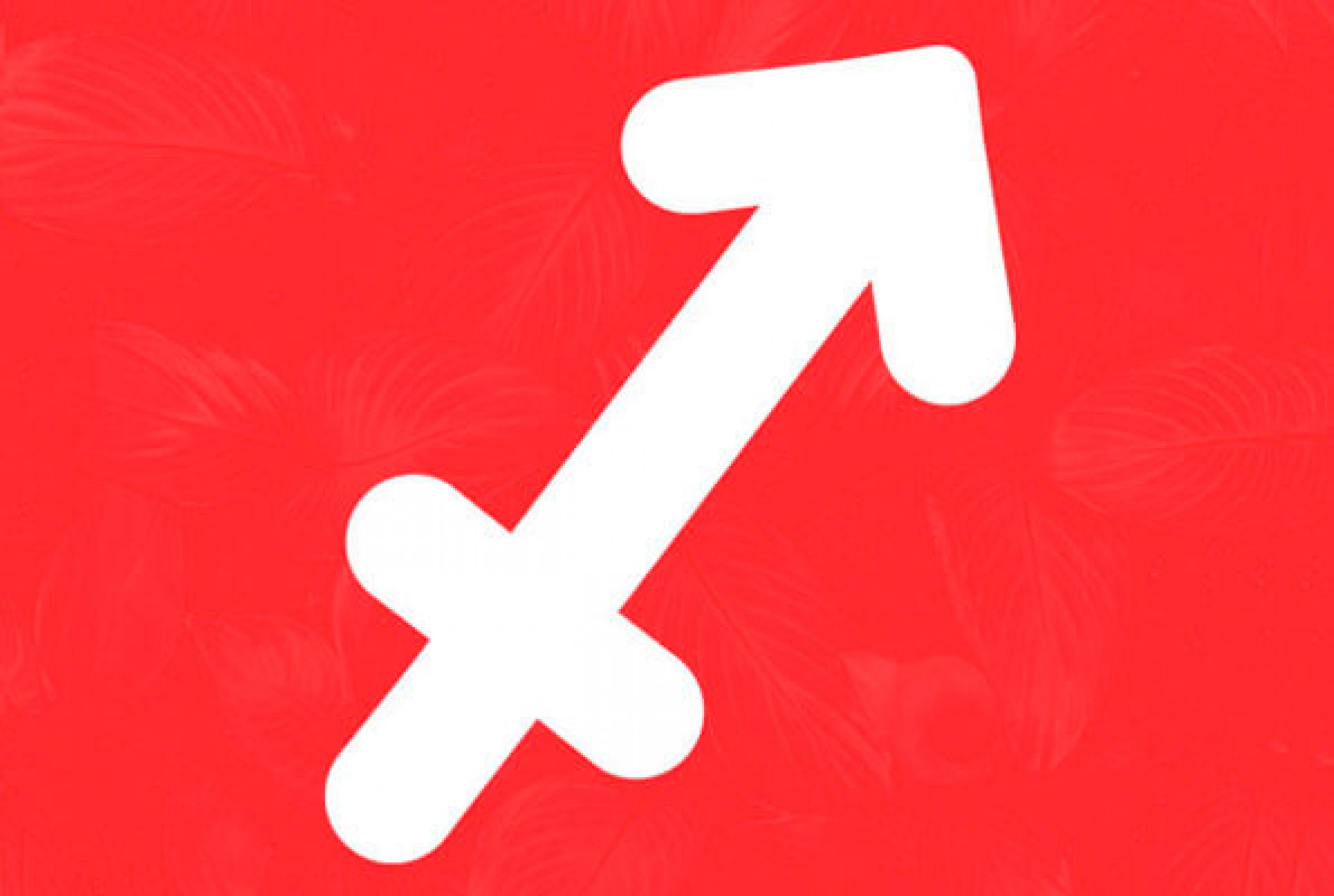 M&ecirc;s de Sagit&aacute;rio: como todos os signos podem aproveitar