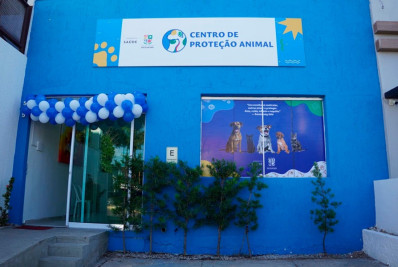 MP de Pernambuco investiga maus-tratos a animais em instituição municipal