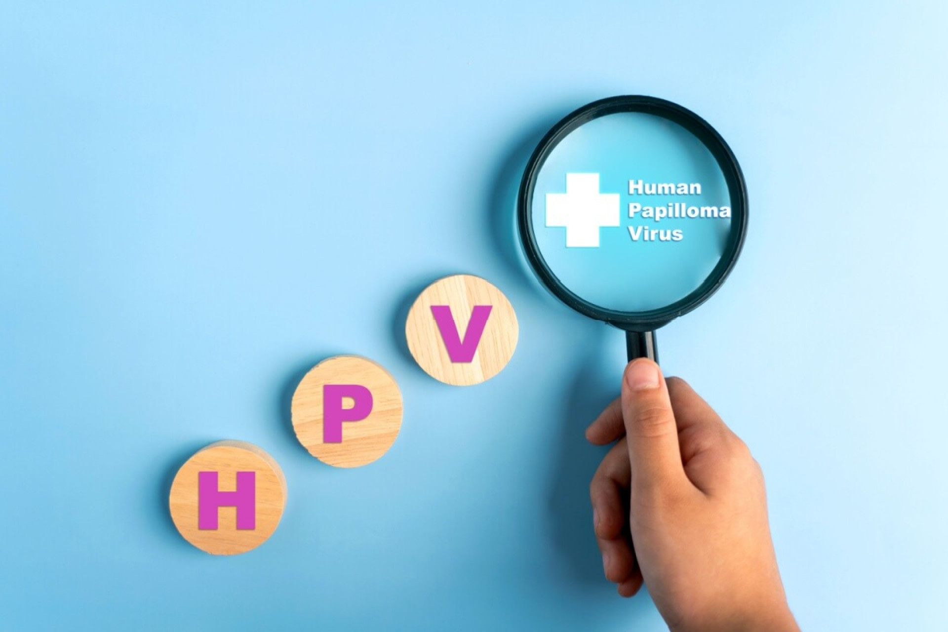 Entender como o vírus HPV age ajuda a prevenir doenças mais graves (Imagem: wutzkohphoto | Shutterstock)