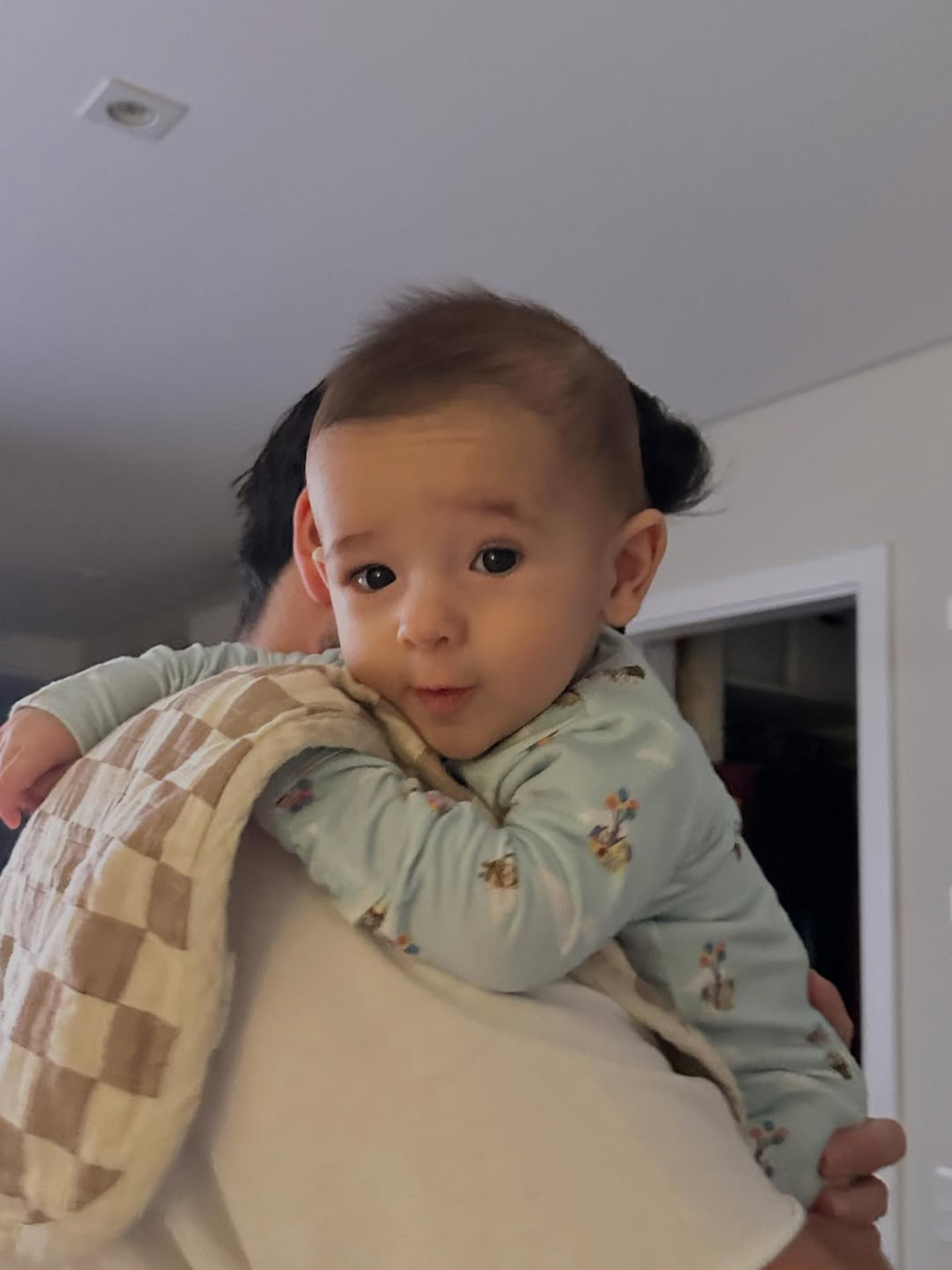 Dani Calabresa publicou novos registros do filho, Bernardo  - Reprodução/Instagram 