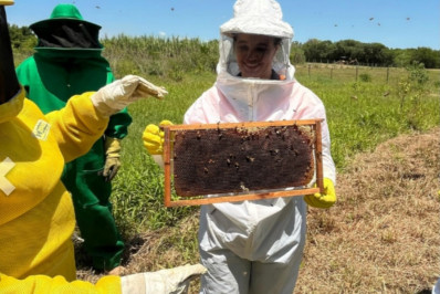 Defesa Civil conclui curso de apicultura e articula providência focada em chuvas