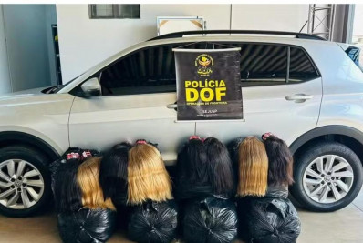 Ex-vereador é preso transportando 257 kg de cabelo humano avaliados em R$ 2,5 milhões