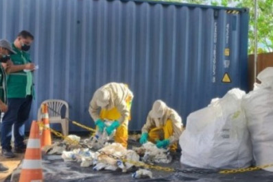 Embalagens vazias de agrotóxicos têm descartes por meio do Campo Limpo