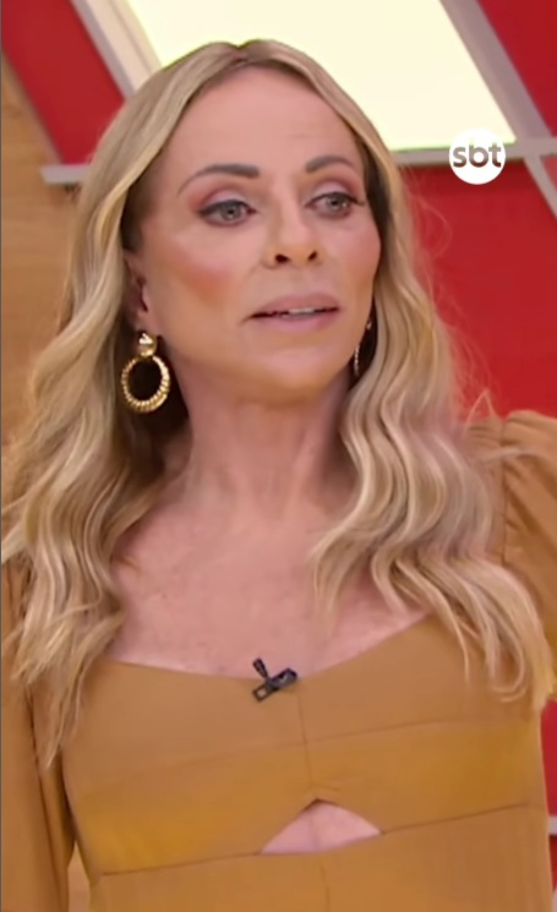 Christina Rocha - Reprodução / Instagram