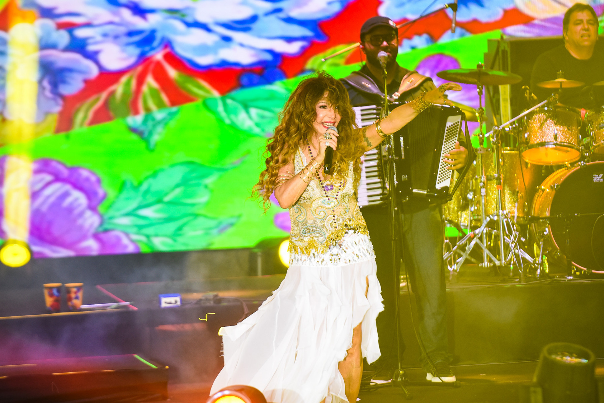Elba Ramalho faz show no navio 'Tempo Rei' - Will Dias / Brazil News
