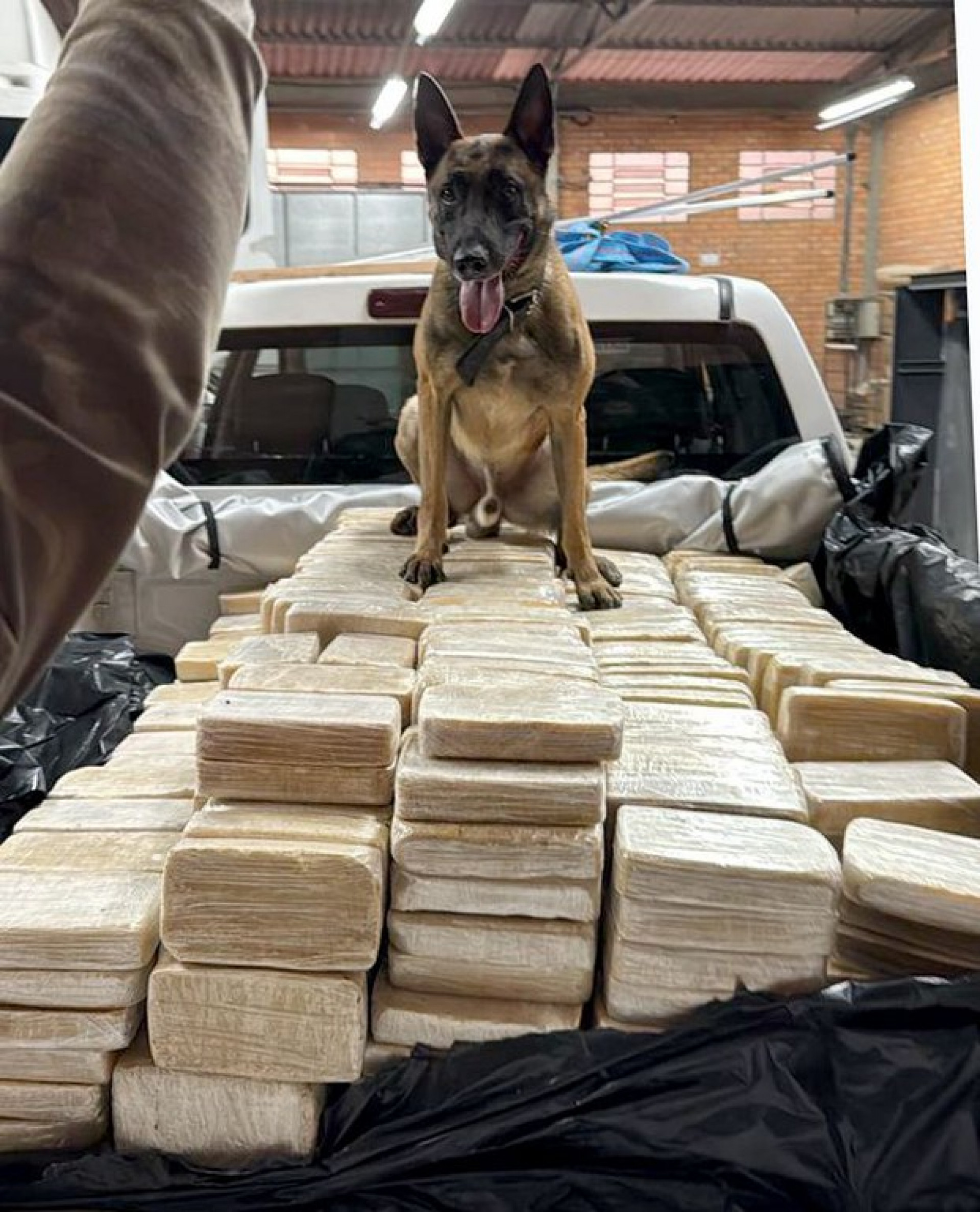 Esquema enviava cocaína para a Europa - Divulgação / PF 