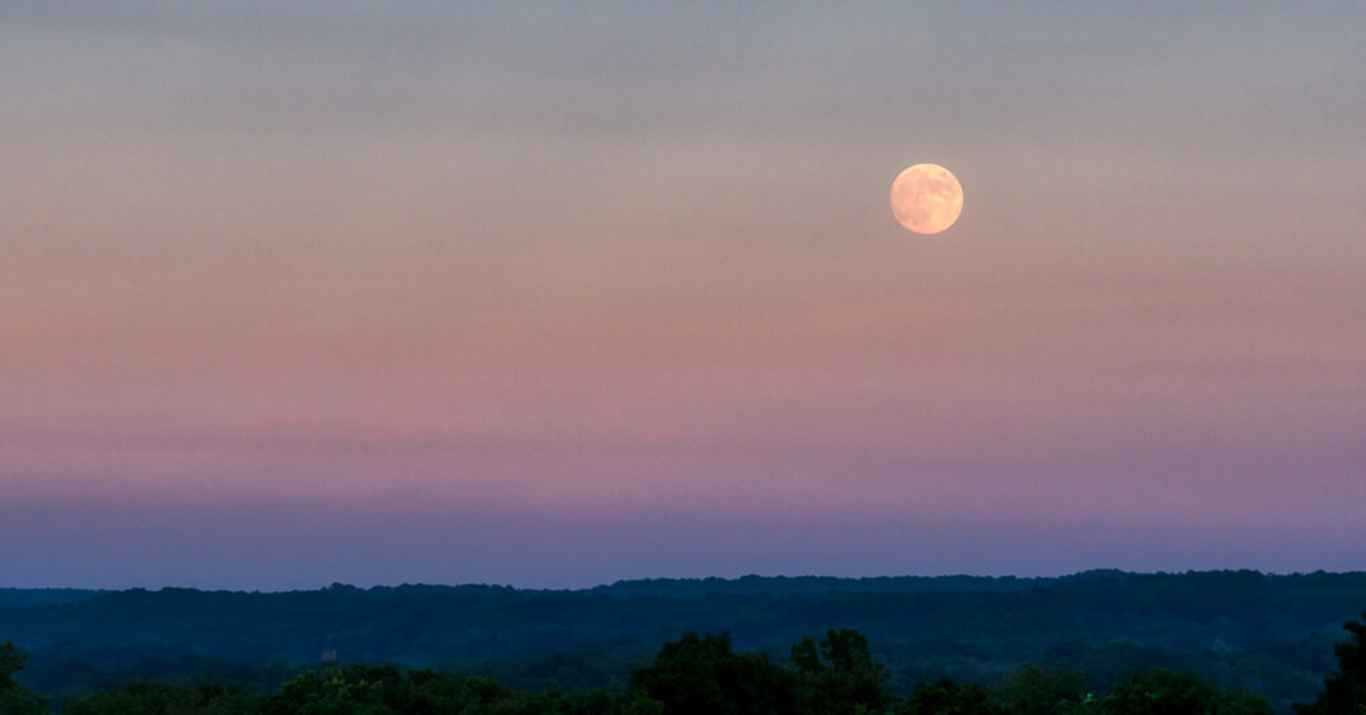 A beautiful shot of the large gray moon in the evening sky over a thick green forest
