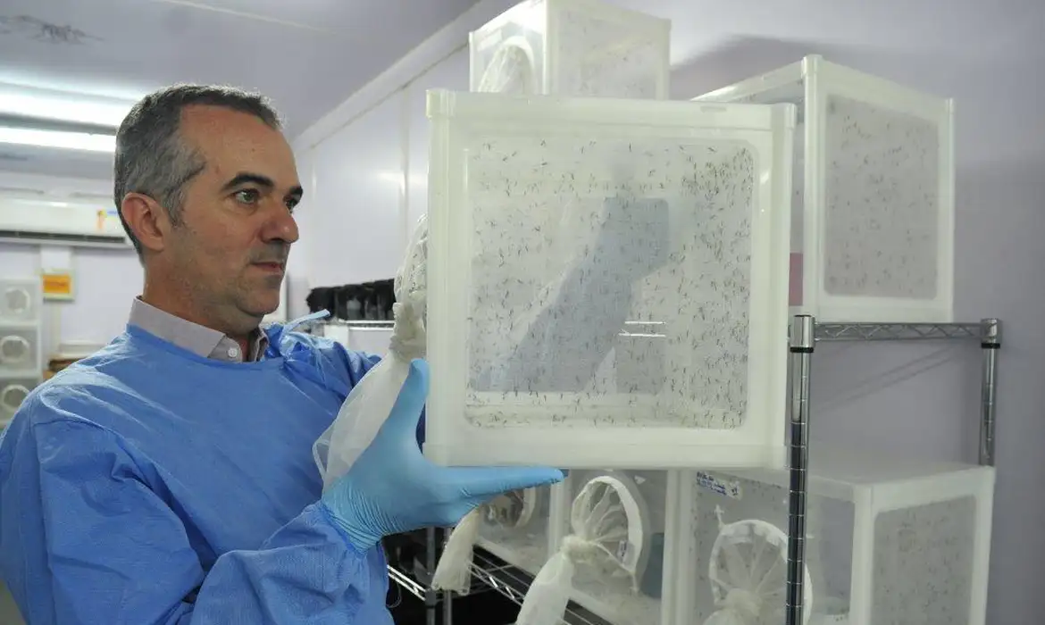 Engenheiro brasileiro é destaque da Nature por método inovador contra dengue, zika e chikungunya