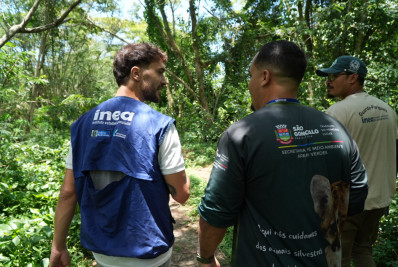 São Gonçalo realiza soltura de filhotes de jacaré-de-papo-amarelo e cágados