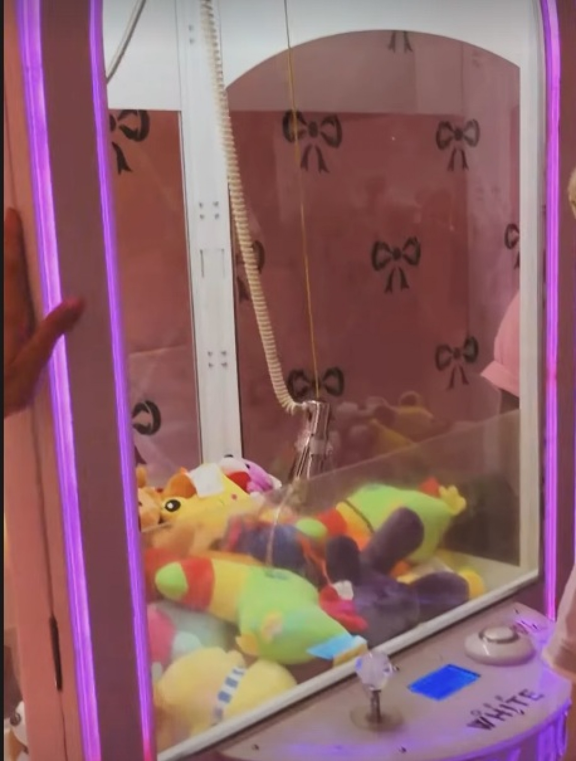 Máquina de pegar bichinho de pelúcia - Reprodução / Instagram