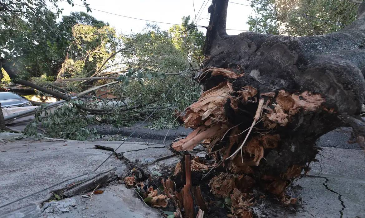 Ministério reconhece situação de emergência em 21 municípios 