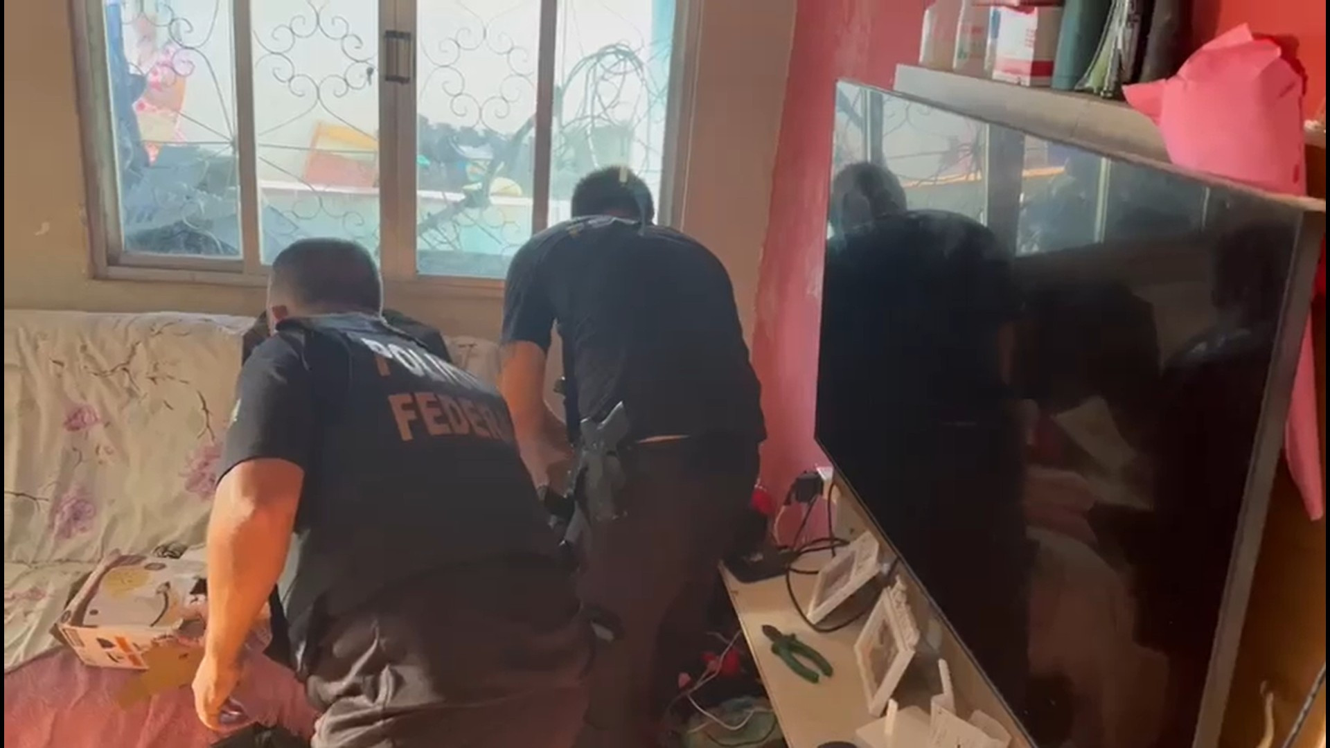 Operação Apócrifo apura esquema de fraudes da Justiça do Trabalho - Divulgação / PF