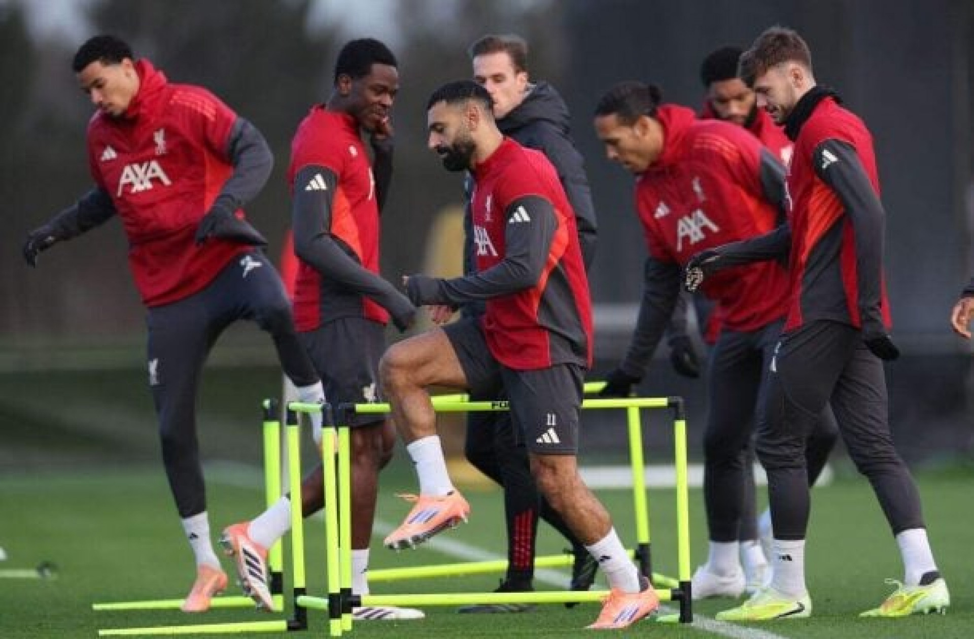 Liverpool x Brighton: onde assistir, escalações e arbitragem