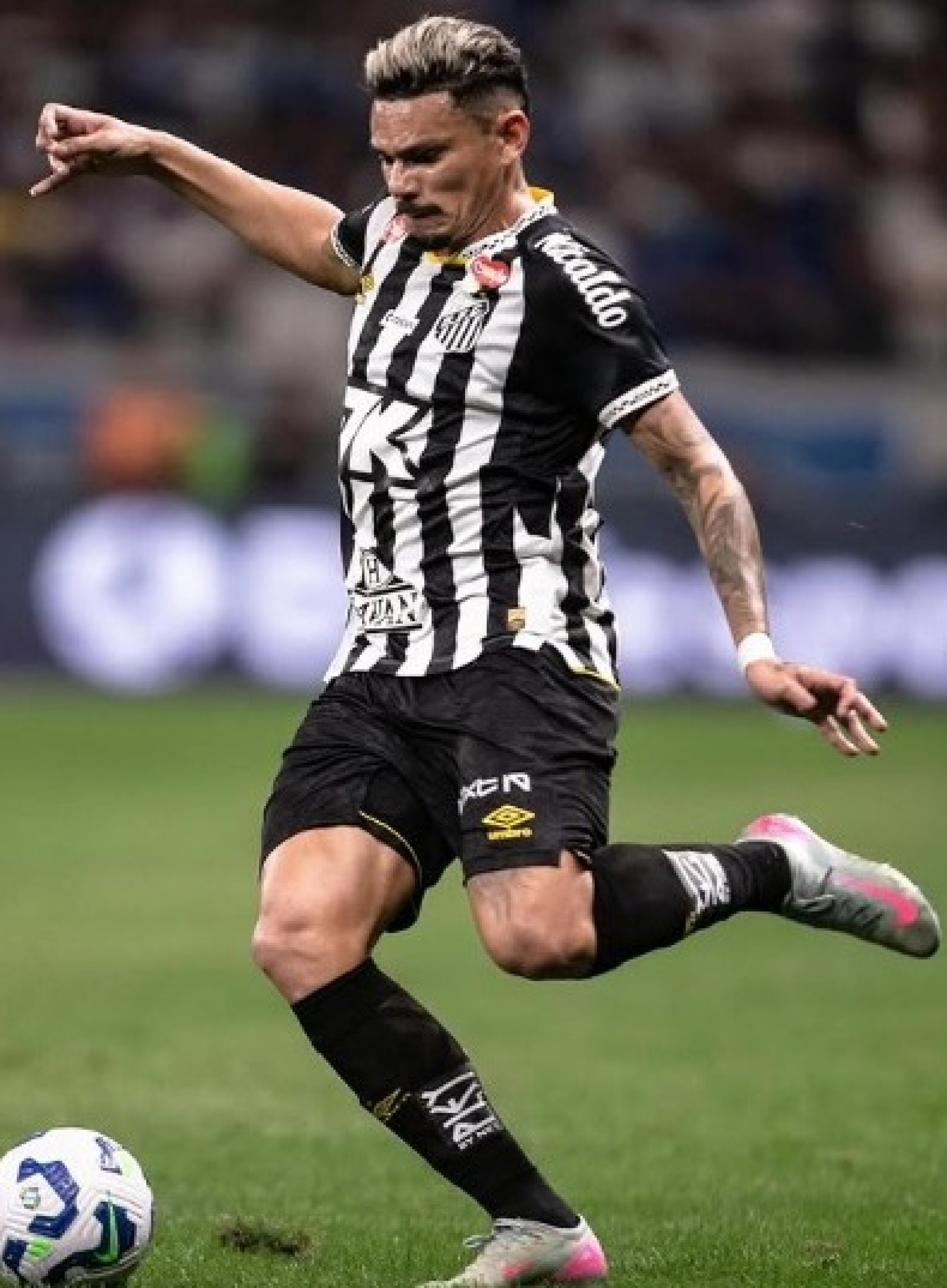Tiquinho Soares pode voltar ao Botafogo
