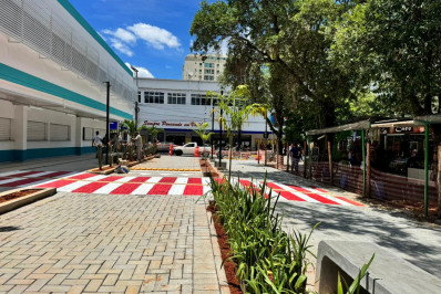 Secretaria de Meio Ambiente inicia ornamentação do boulevard Roberto Silveira