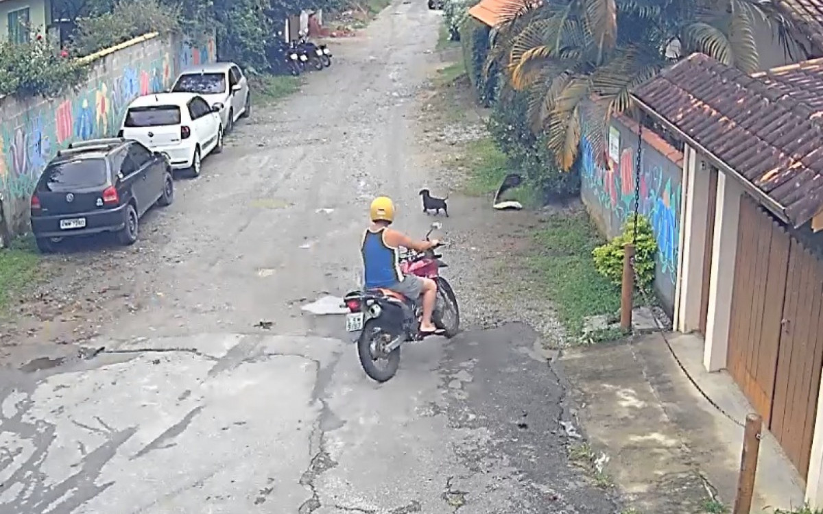Vídeo mostra homem desviando o traçado da moto de propósito para atropelar o cãozinho