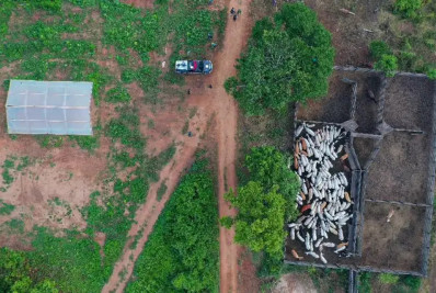 Vaqueiro contratado pelo Ibama é morto em emboscada em terra indígena no PA