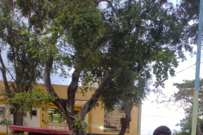 Guarda Municipal apreende mais de 20 carretéis de linhas chilenas