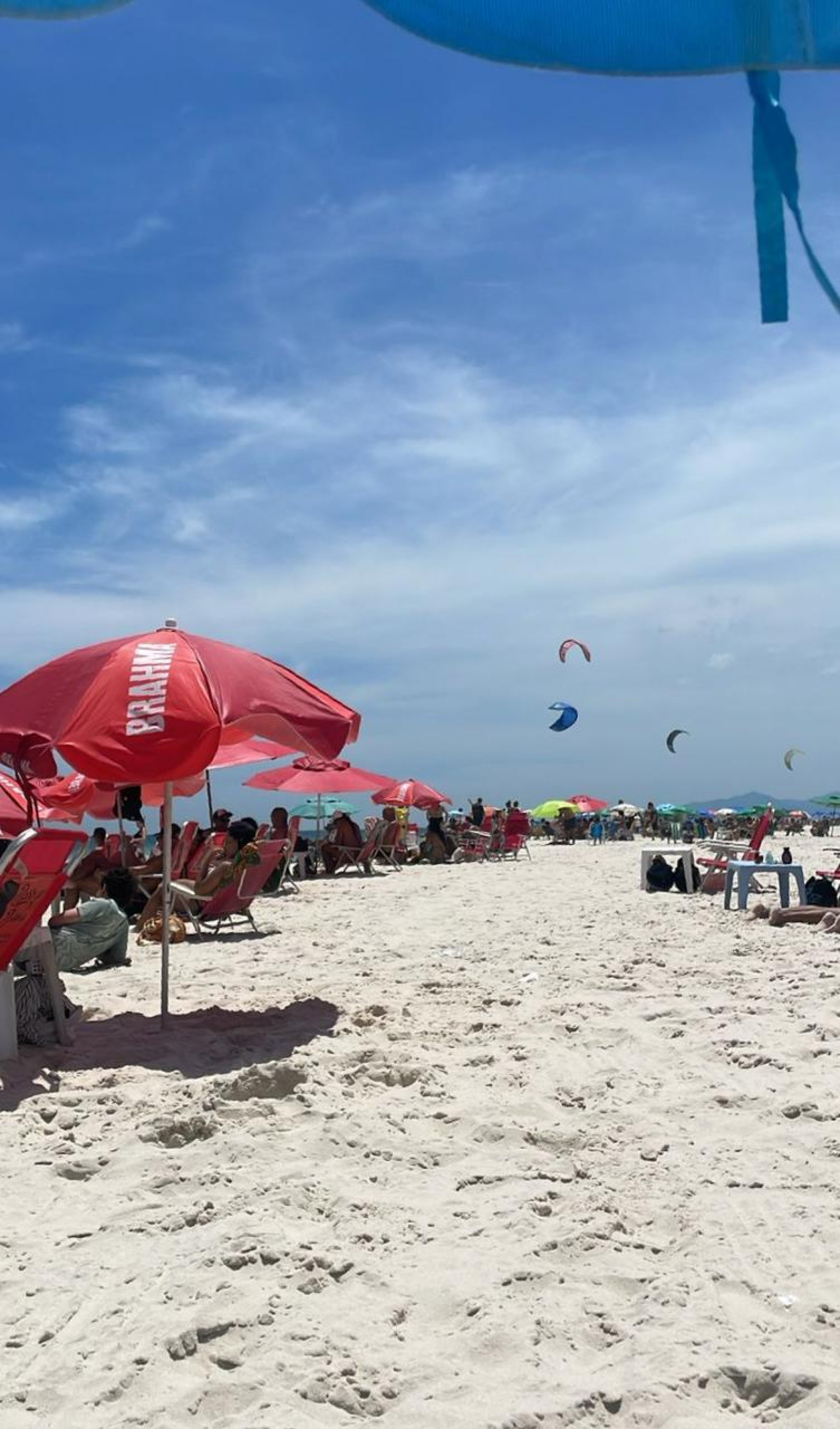 Dia ensolarado na Praia da Barra nesta ter&ccedil;a-feira (16) - Reprodu&ccedil;&atilde;o / Redes sociais